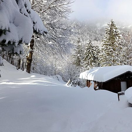 Ferienhaus Baerschwendi Lungern Bagian luar foto