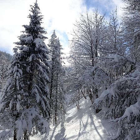 Ferienhaus Baerschwendi Lungern Bagian luar foto