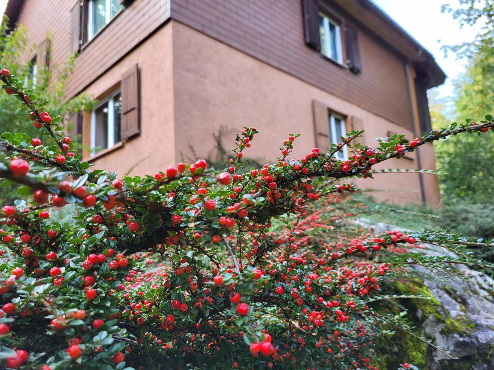 Ferienhaus Baerschwendi Lungern Bagian luar foto