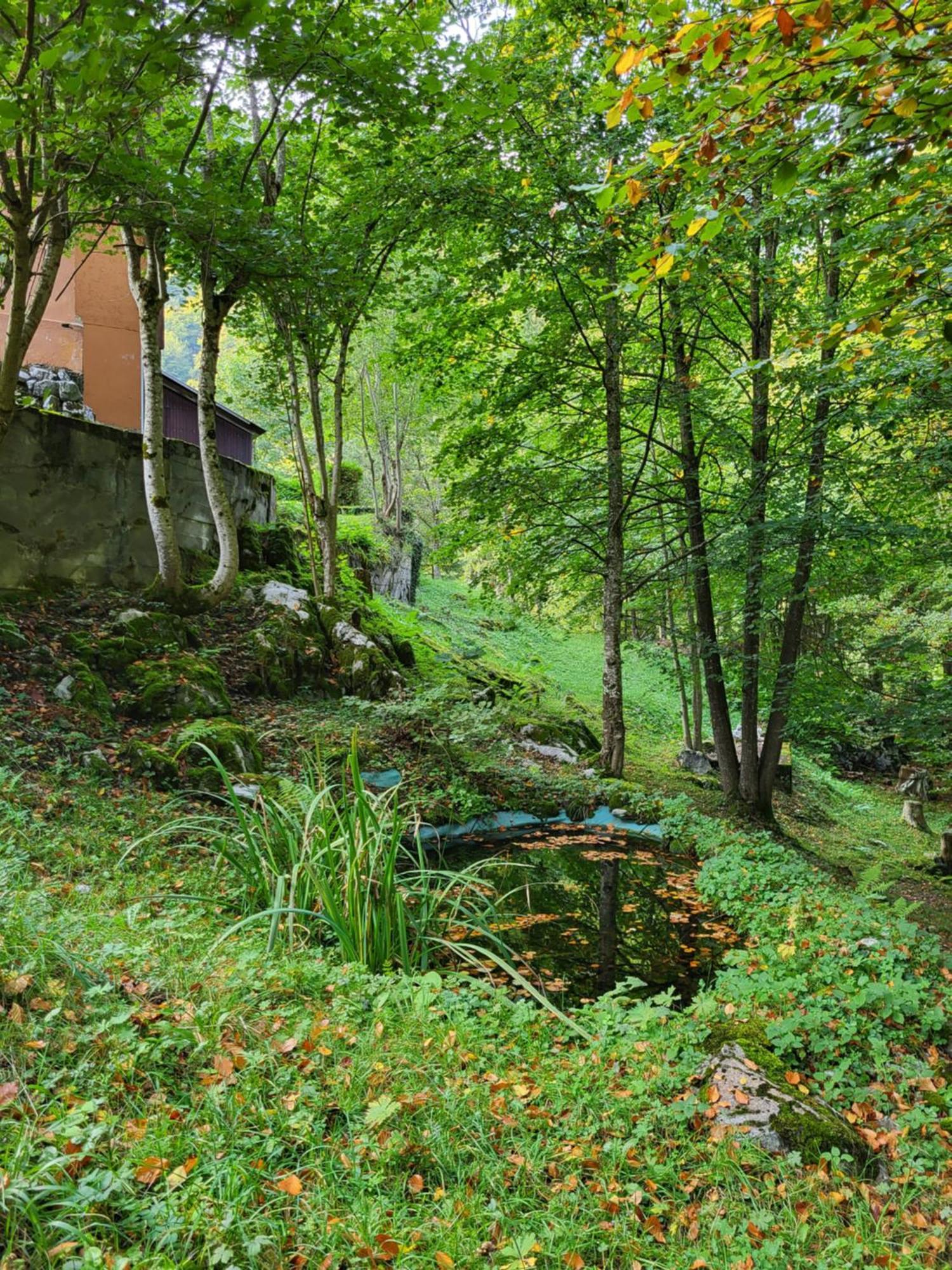 Ferienhaus Baerschwendi Lungern Bagian luar foto