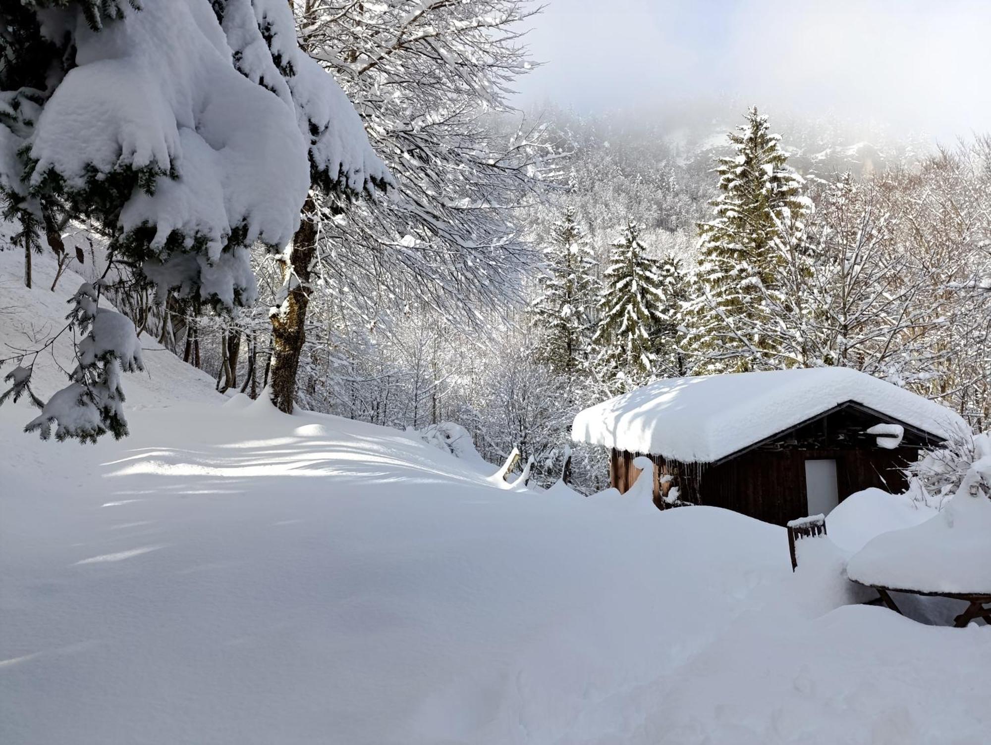 Ferienhaus Baerschwendi Lungern Bagian luar foto