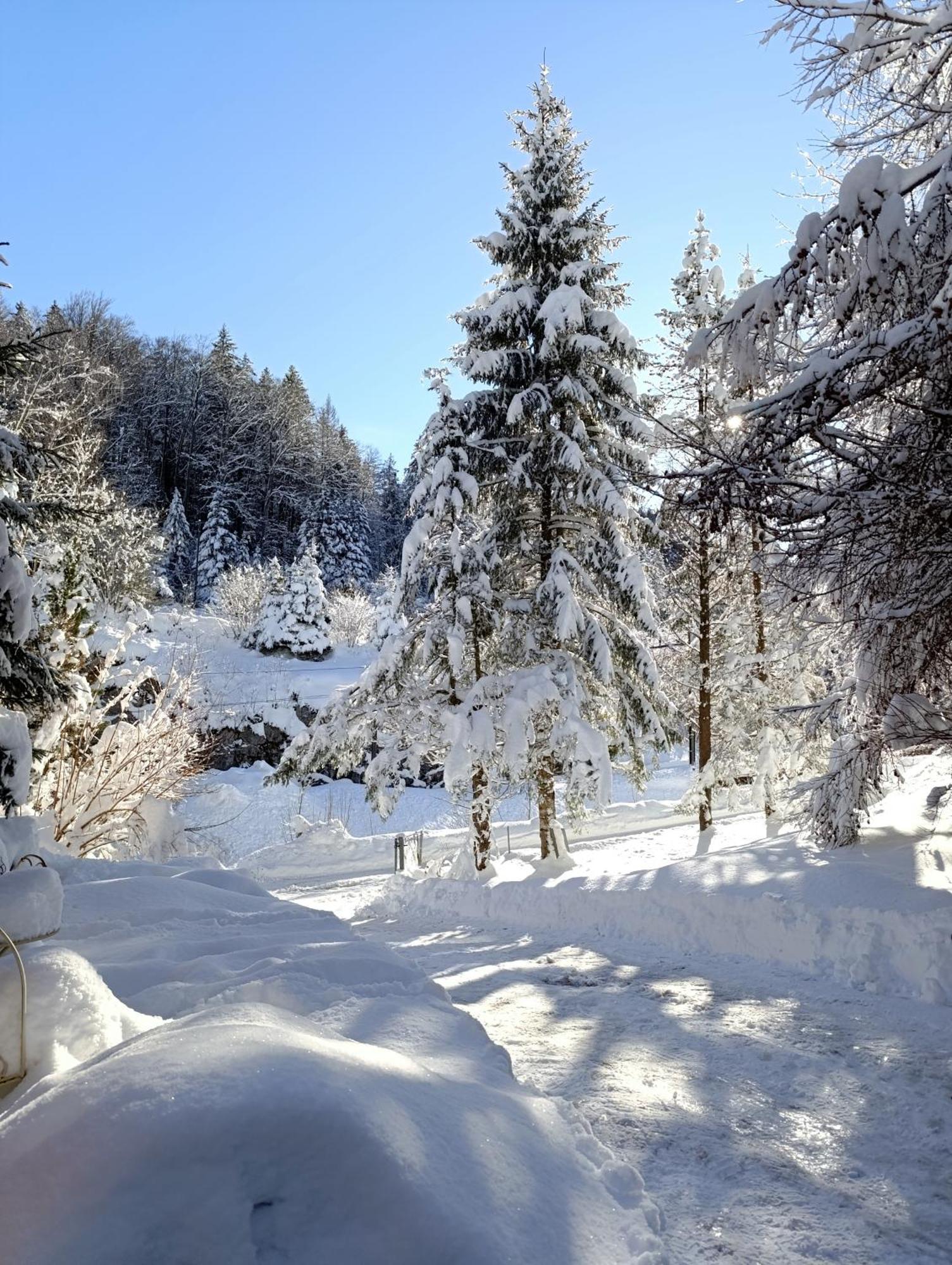 Ferienhaus Baerschwendi Lungern Bagian luar foto