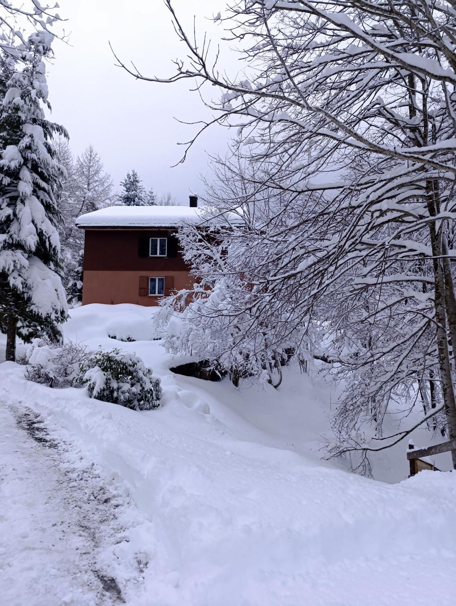 Ferienhaus Baerschwendi Lungern Bagian luar foto